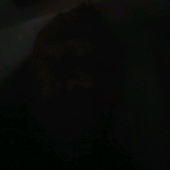 nukester_305